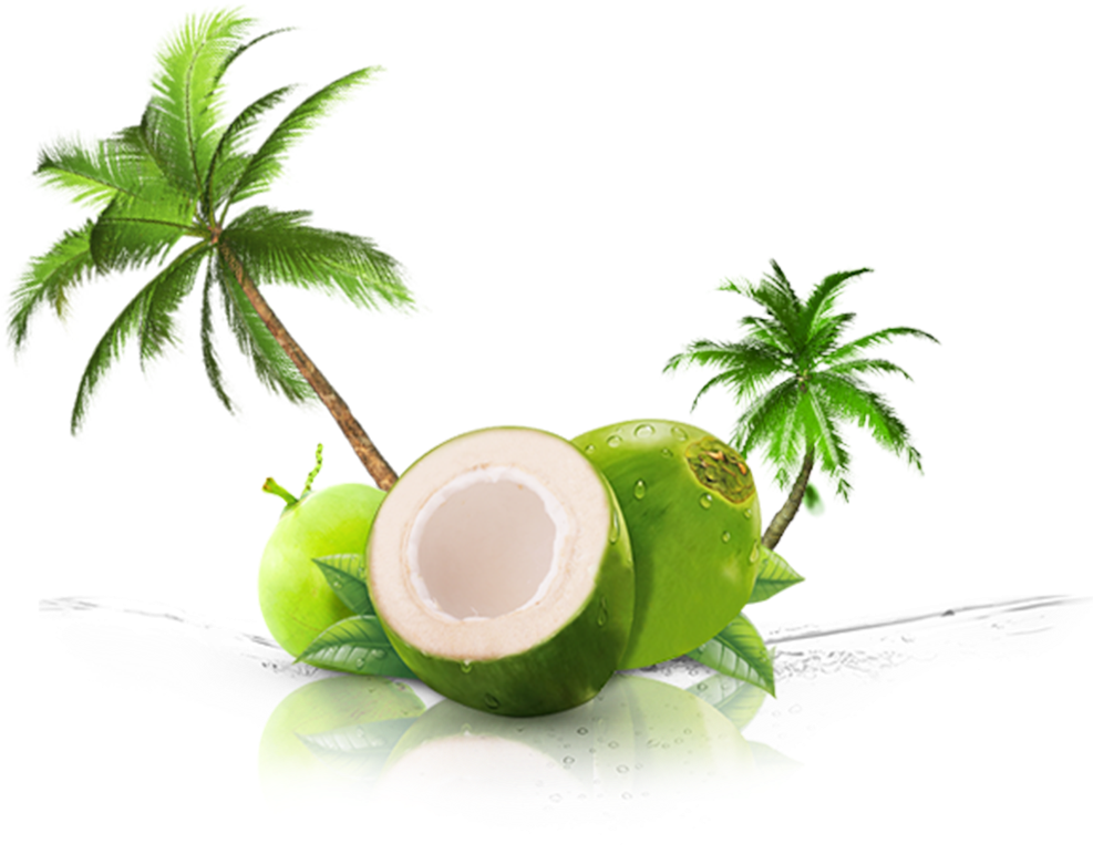 Thenarasu Tender Coconut - Transparent Coconut Juice Png, Png Download PNG with transparent background