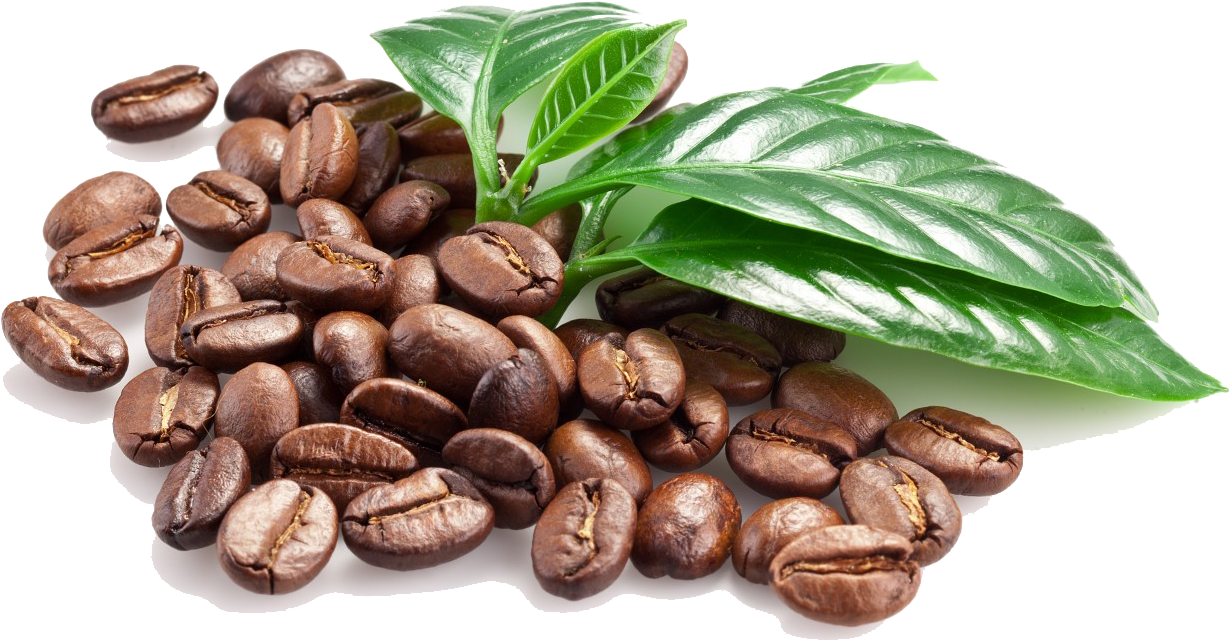 Coffee Bean Espresso Caffxe8 Macchiato - Coffee Bean Png File, Transparent Png PNG with transparent background