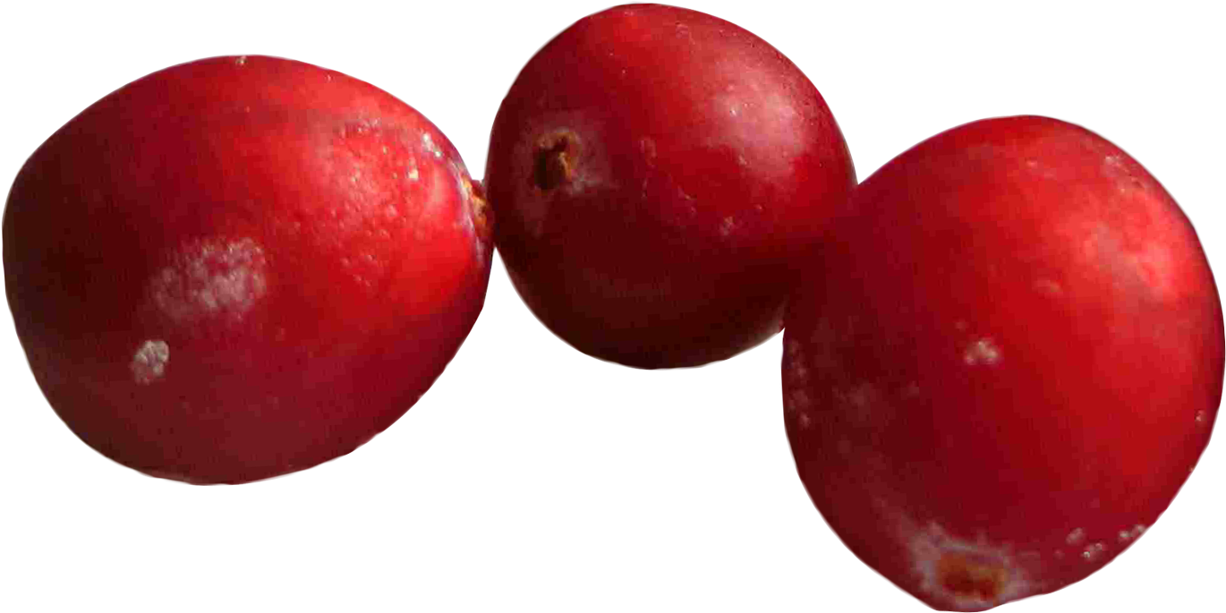 Cranberries Png Image - Cranberries Png, Transparent Png PNG with transparent background