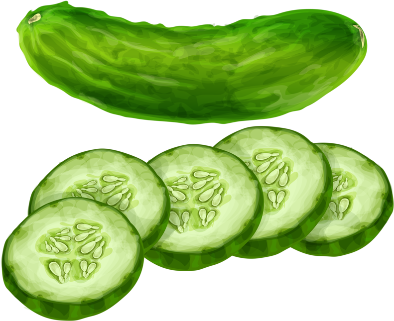 Cucumber Vegetable Clip Art - Transparent Background Cucumber Png, Png Download PNG with transparent background