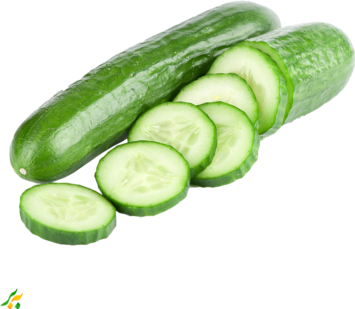 Pickled Cucumber Cucumber Sandwich Vegetable Vegetarian - Cucumber Png, Transparent Png PNG with transparent background