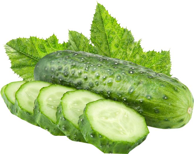 Cucumber Png Free, Transparent Png PNG with transparent background