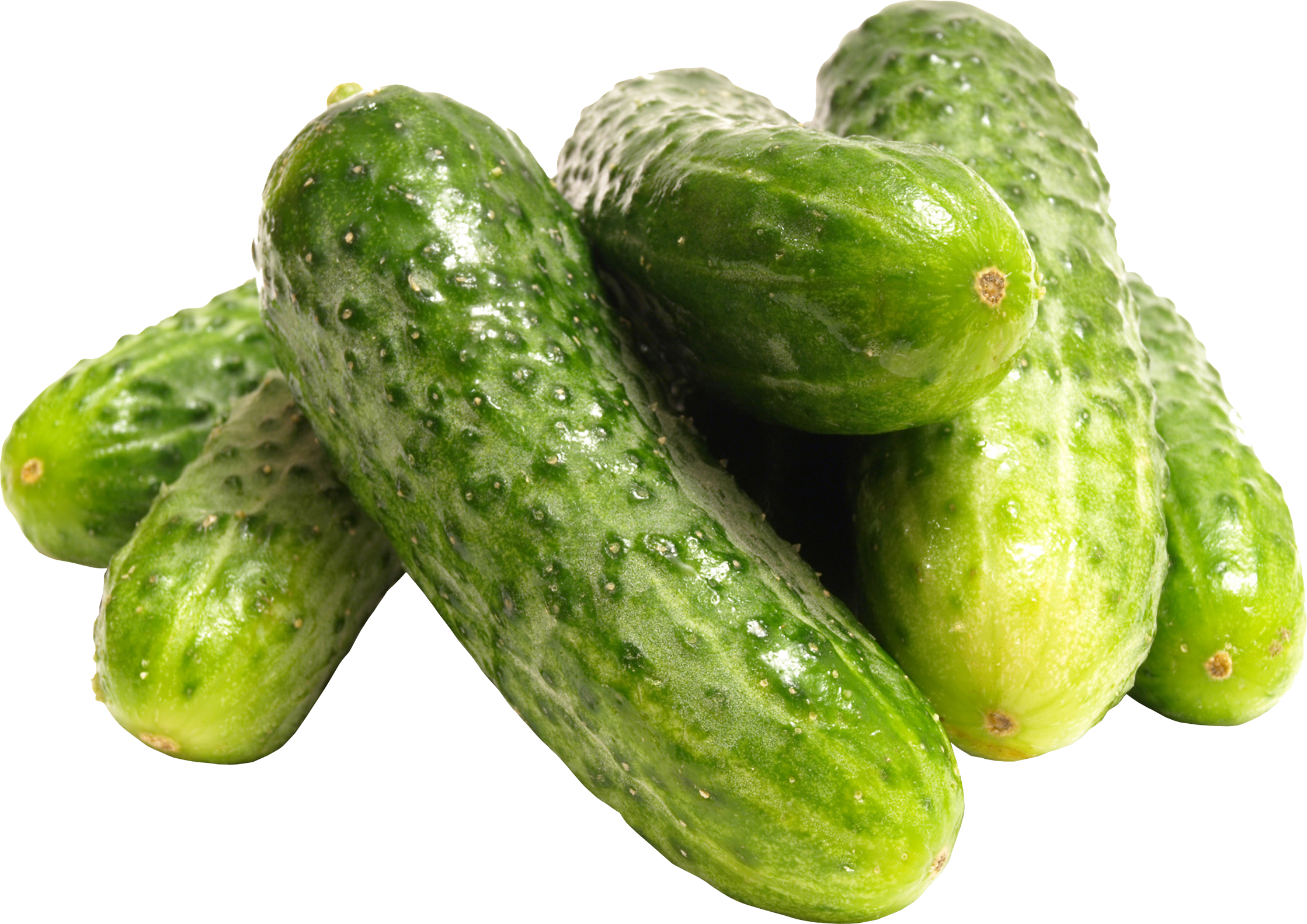Transparent Cucumber Slice Png - Cucumber Png Transparent, Png Download PNG with transparent background