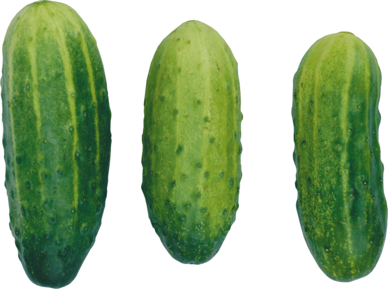 Cucumbers Png Image - Cucumber Clipart, Transparent Png PNG with transparent background