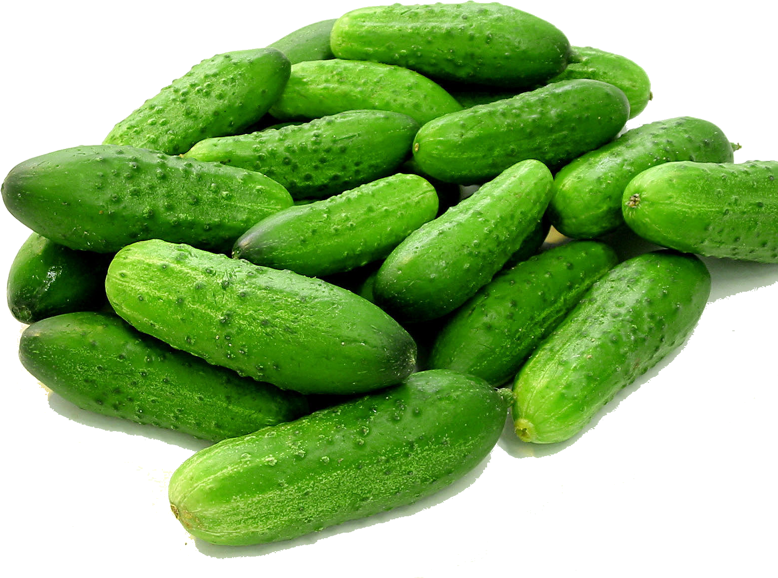 Cucumbers Transparent Background - Cucumber On White Background Hd, HD Png Download PNG with transparent background