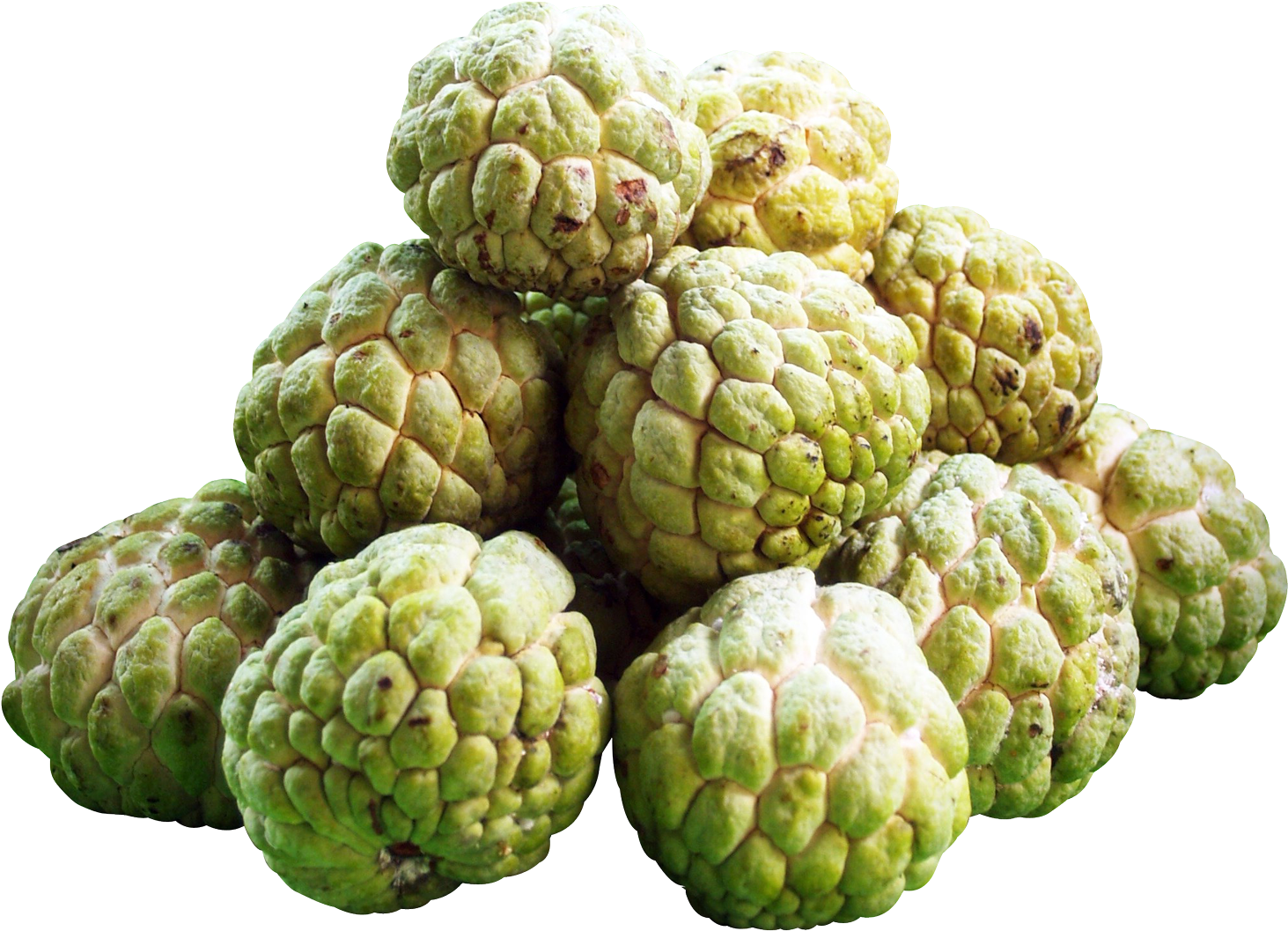 Fresh Custard Apples Isolated Background