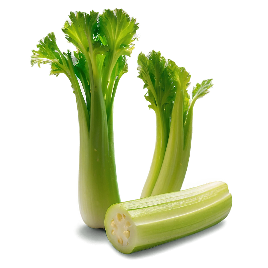 Fresh Cut Celery Png 51