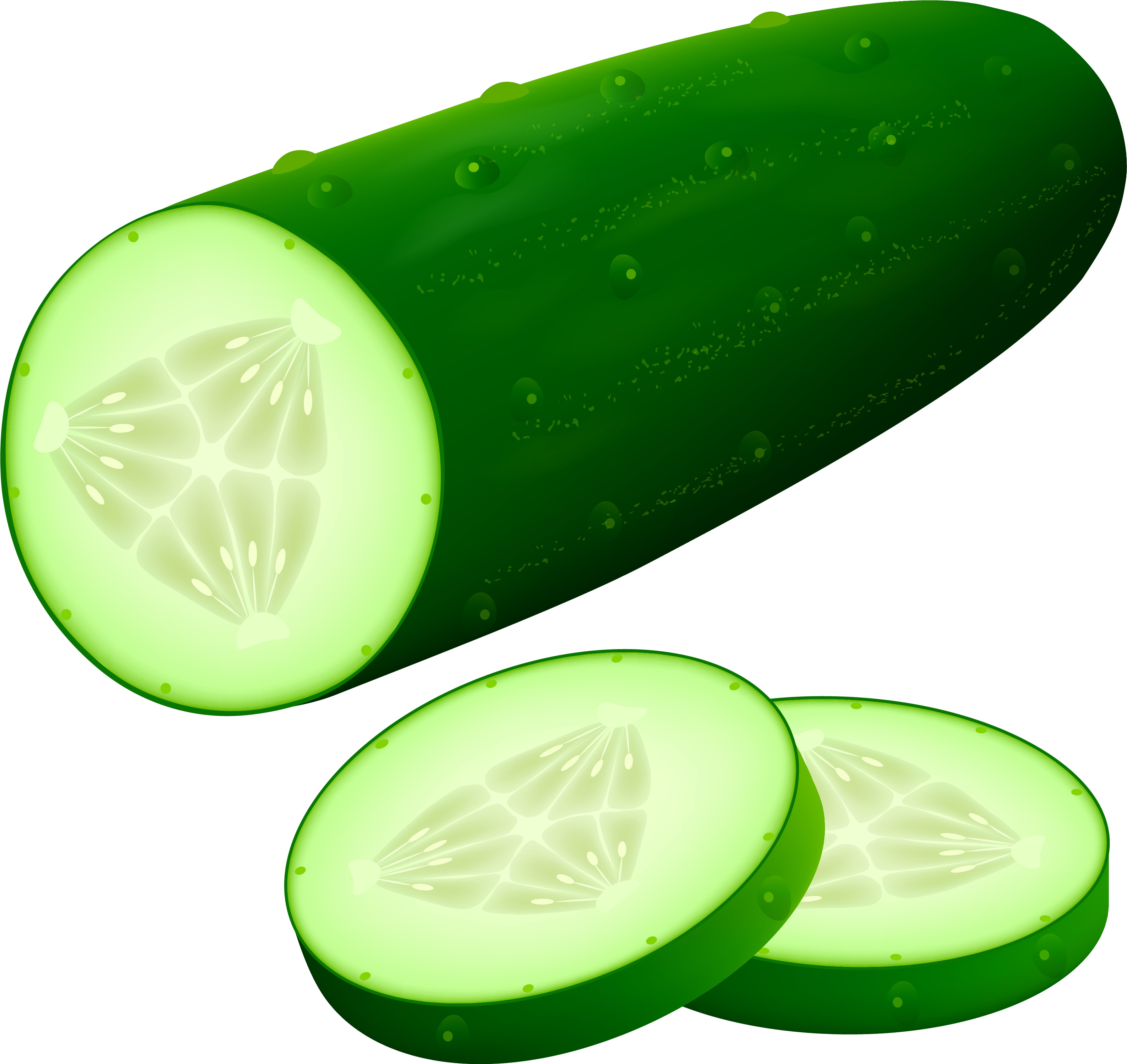 Fresh Cut Cucumber Graphic