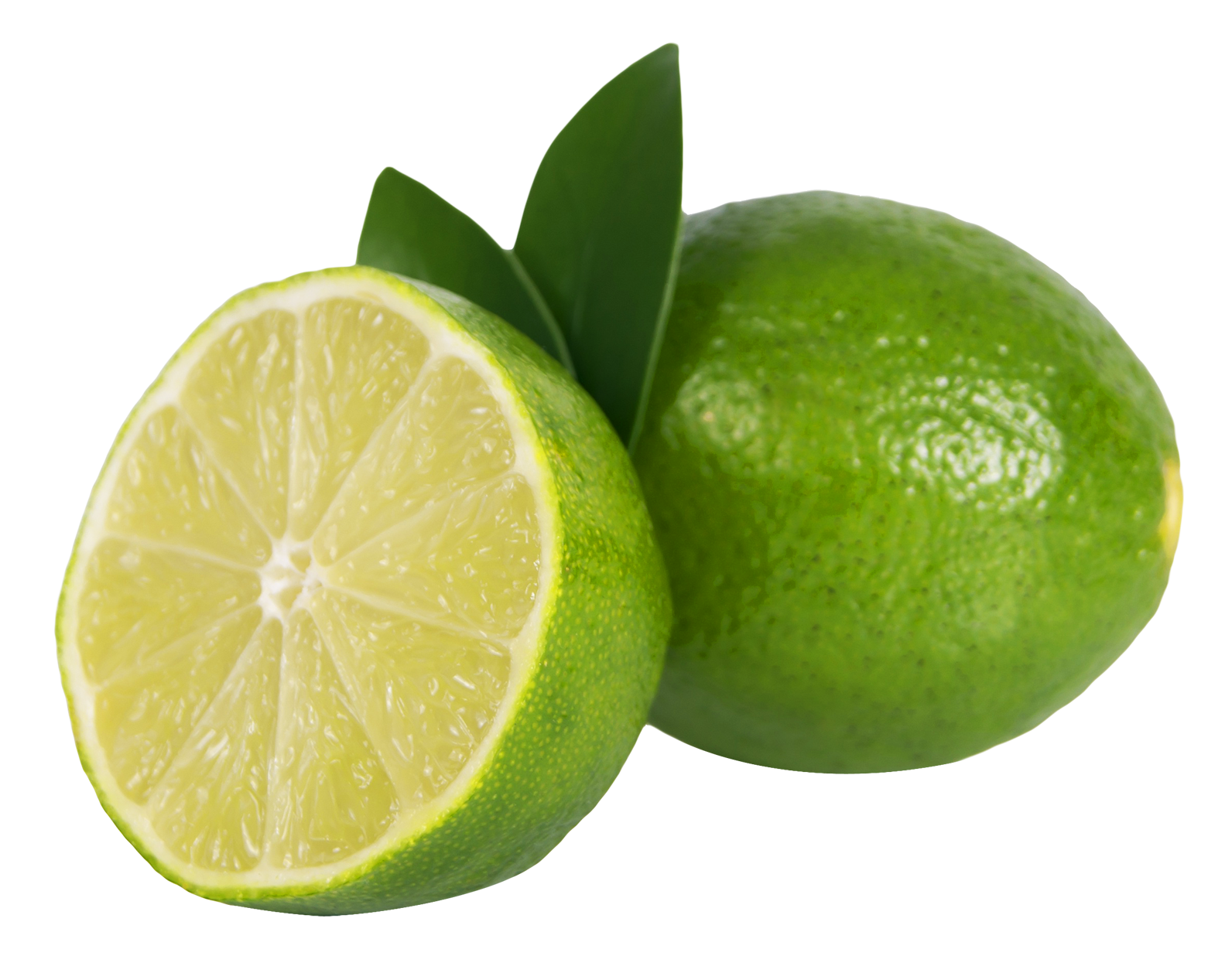 Fresh Cut Limewith Leaves PNG with transparent background