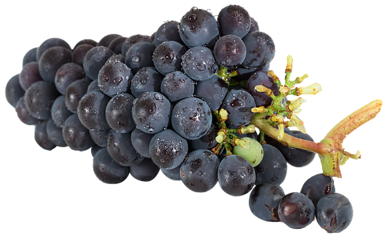 Fresh Dark Grapes Cluster.jpg