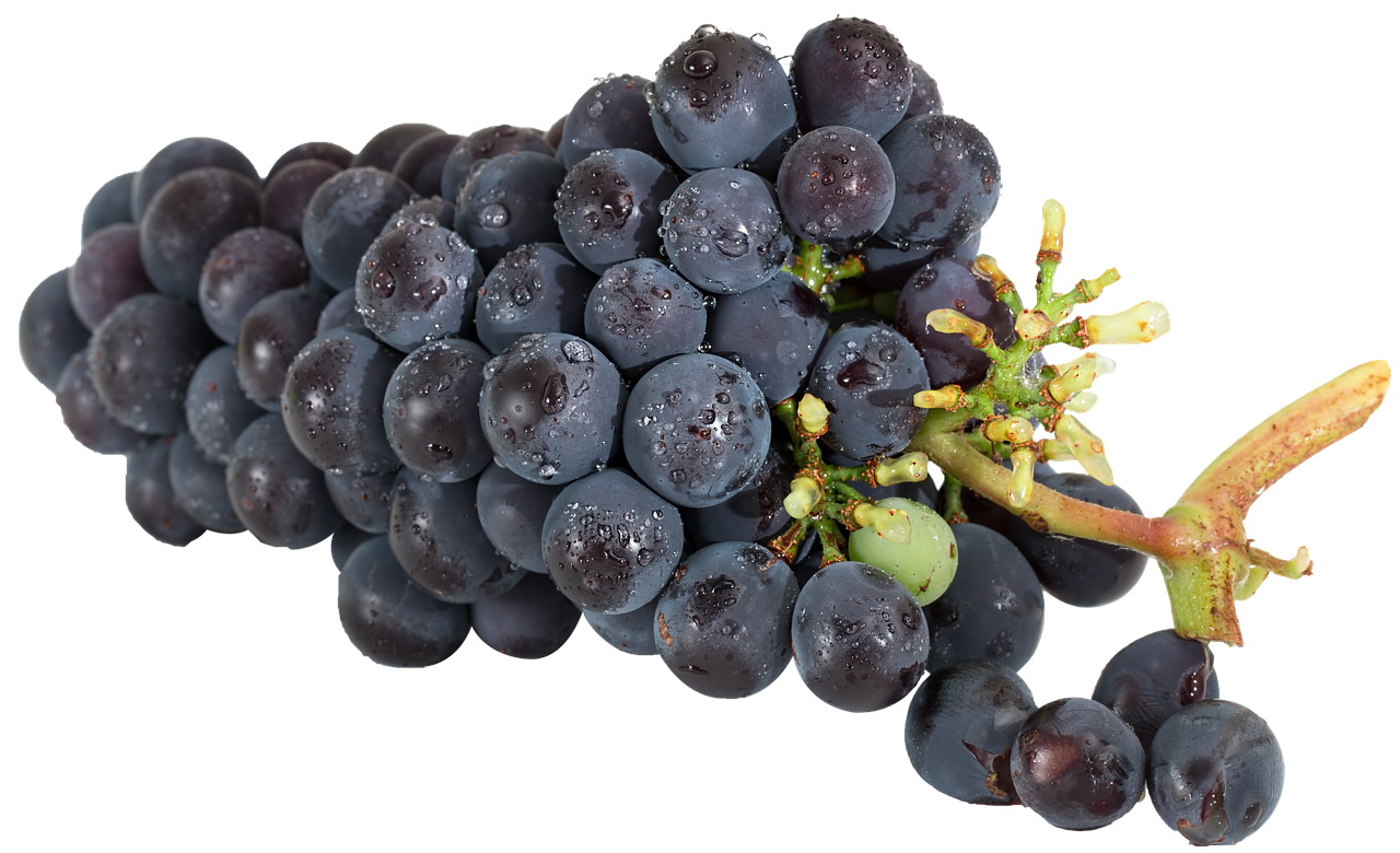 Fresh Dewy Black Grapes Cluster.jpg PNG with transparent background