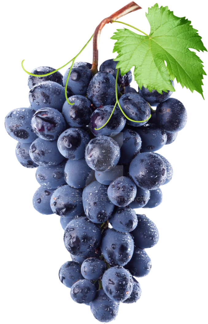 Fresh Dewy Black Grapes