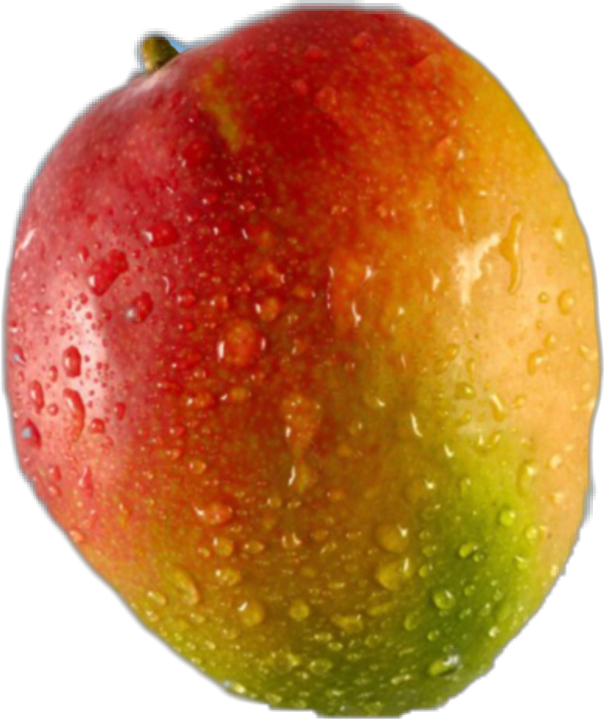 Fresh Dewy Mango Fruit PNG with transparent background