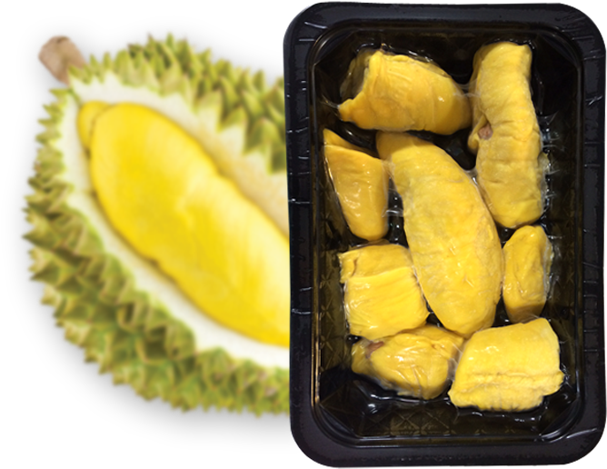 Fresh Durian Fruitand Packaged Pulp