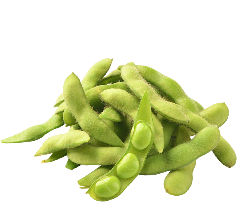 Fresh Edamame Pods Akita Selection