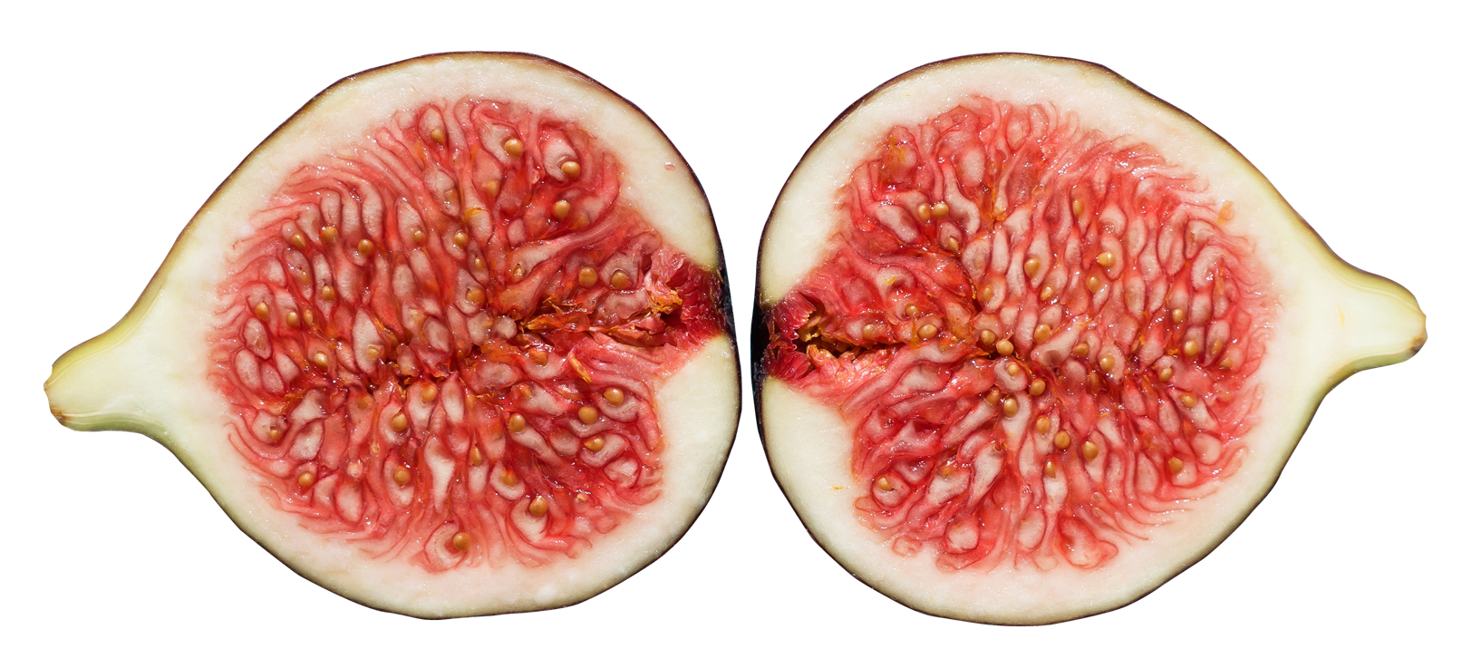 Fresh Fig Halves Cut Open PNG image with a transparent background, free high-resolution download