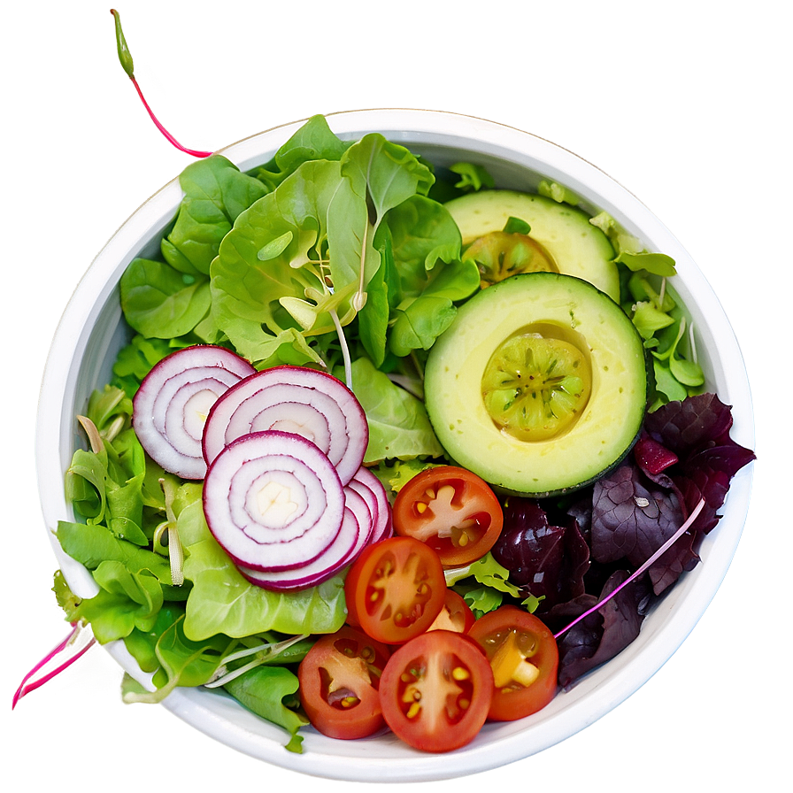 Fresh Garden Salad PNG lap PNG with transparent background
