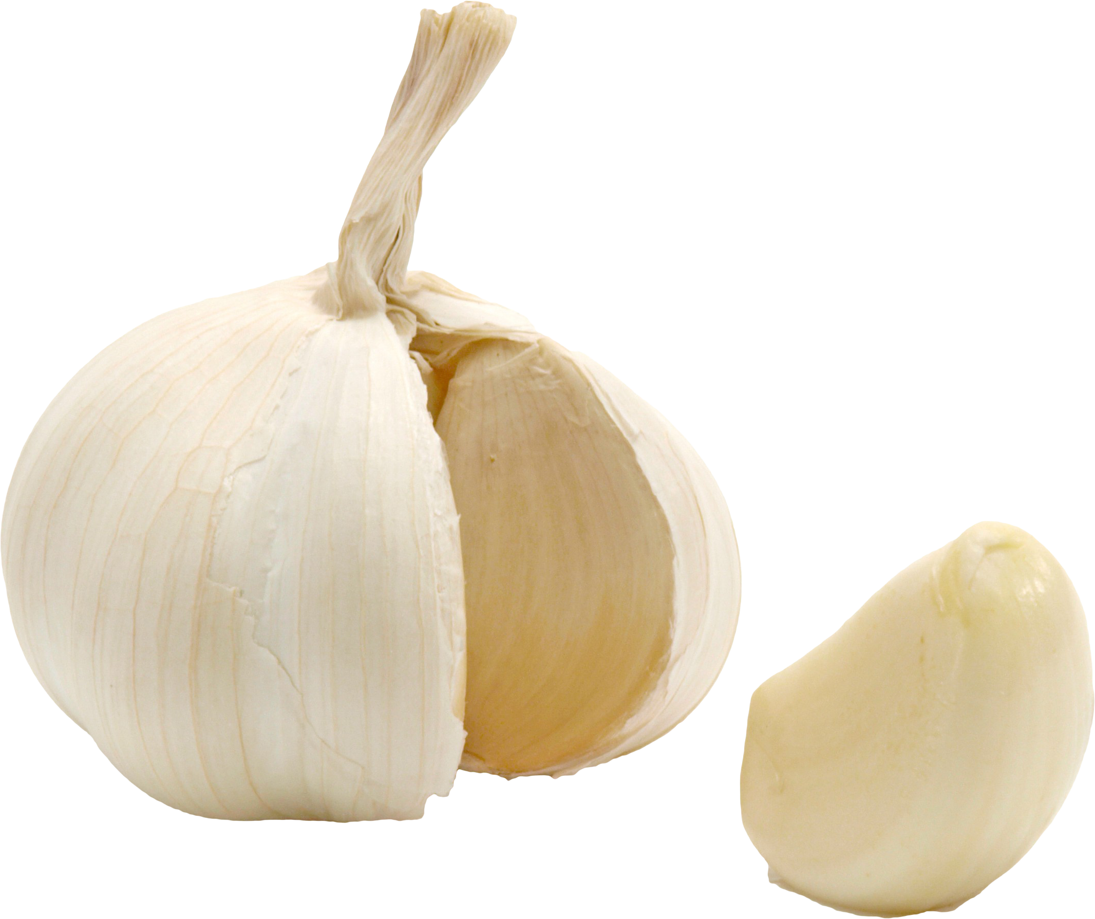 Garlic , Png Download - Garlic, Transparent Png PNG with transparent background