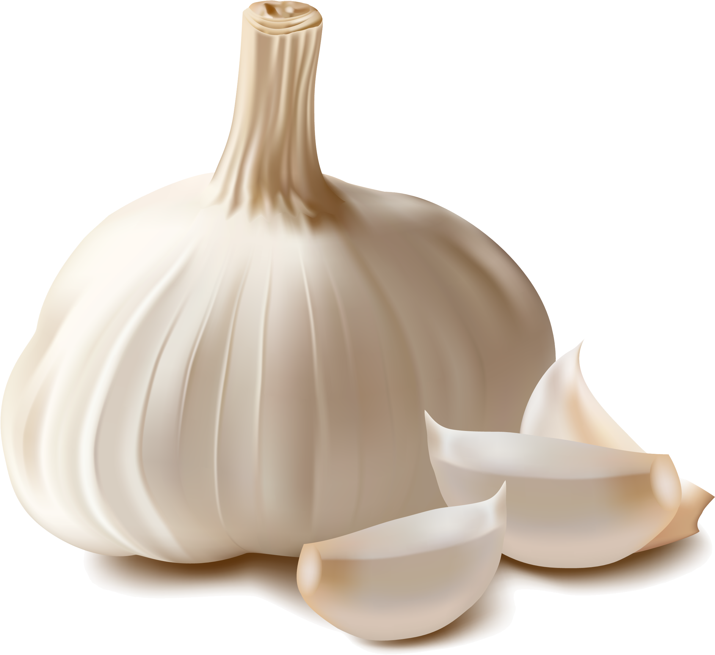 Garlic Png, Transparent Png PNG with transparent background