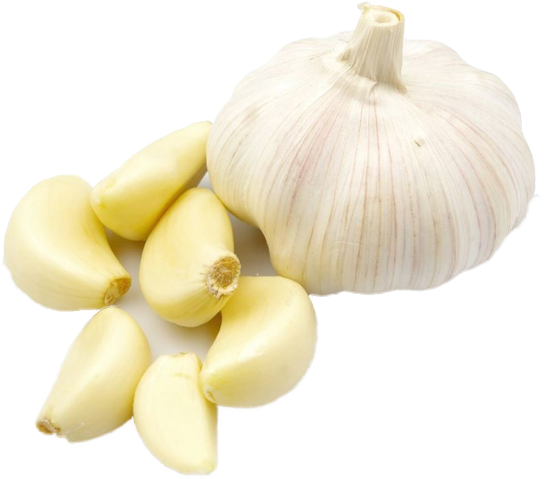 Garlic Body, HD Png Download PNG with transparent background