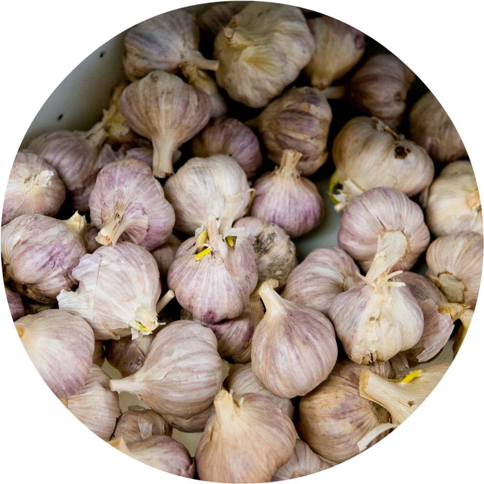 4 - Garlic, HD Png Download PNG with transparent background