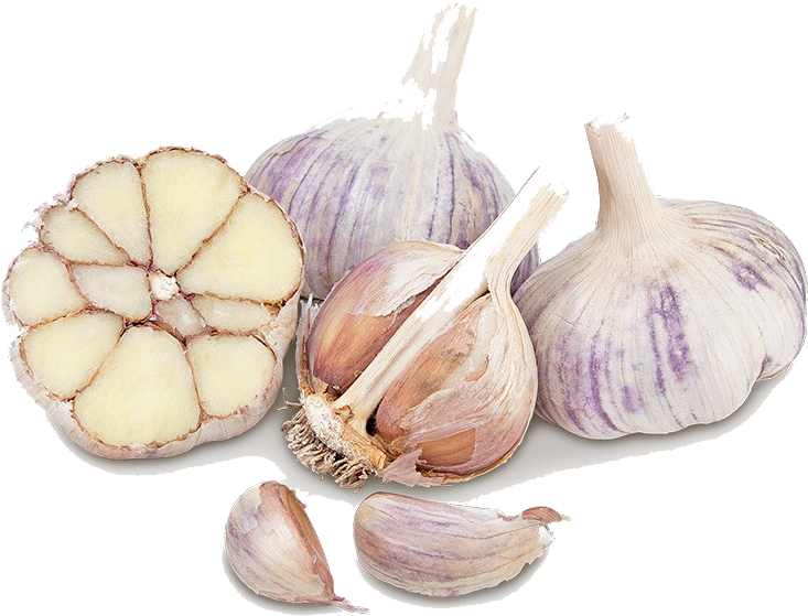 Garlic , Png Download - Garlic, Transparent Png PNG with transparent background