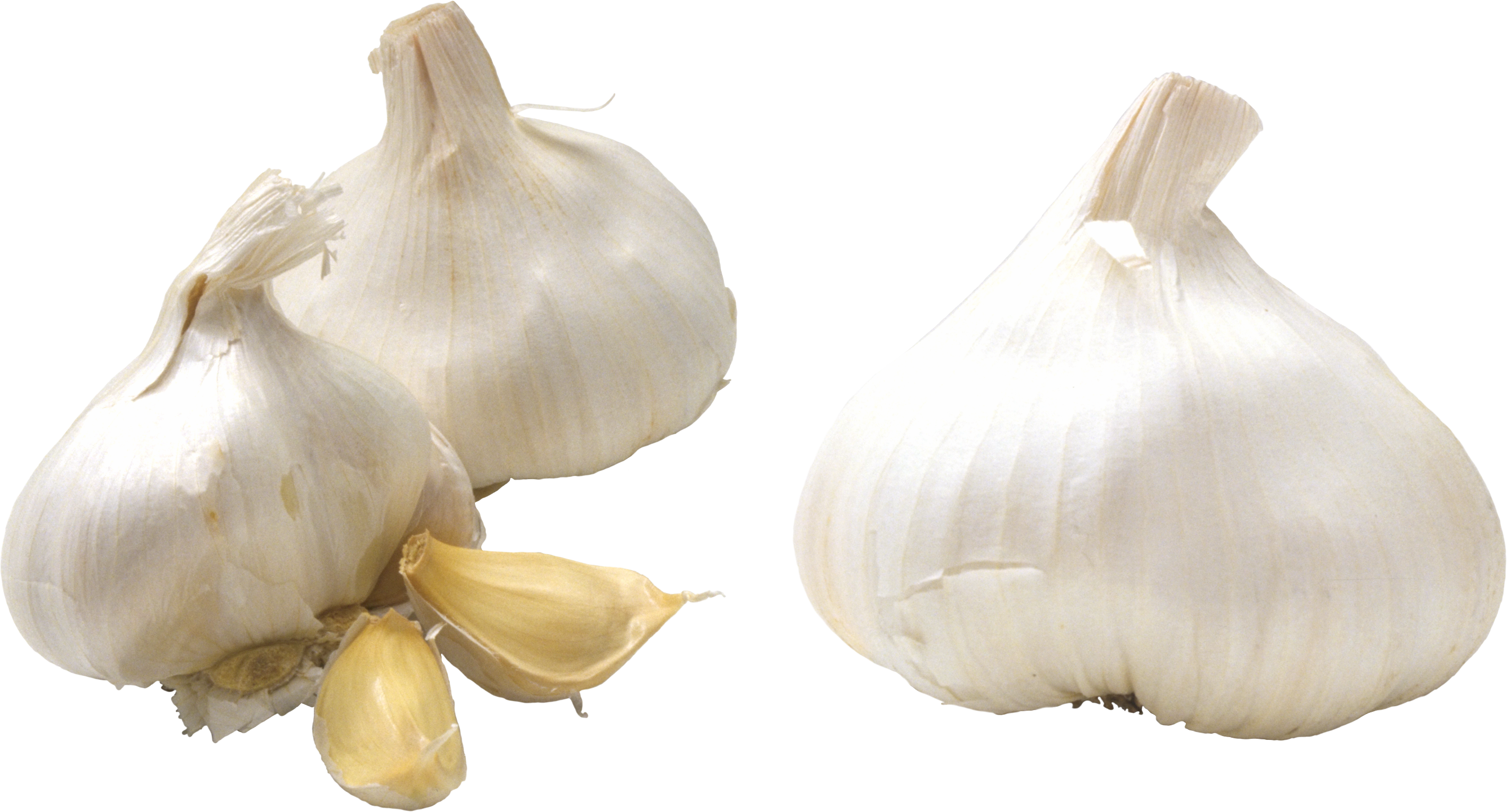 Garlic Png, Transparent Png PNG with transparent background