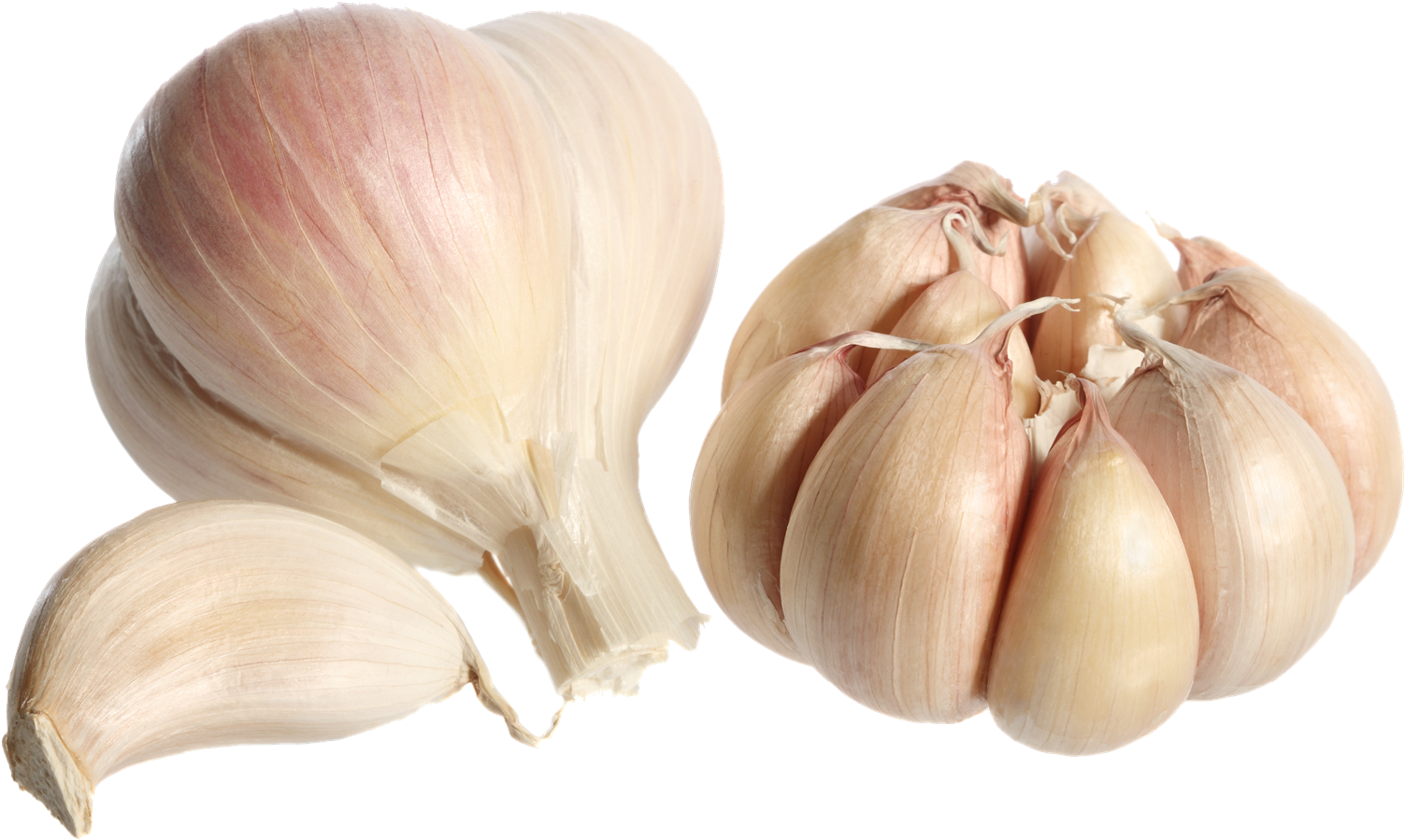 Garlic Png Photo - Garlic Clove, Transparent Png PNG with transparent background