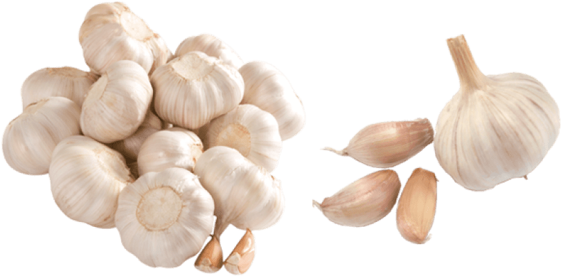 Free Png Garlic Png Images Transparent - Garlic Images Png, Png Download PNG with transparent background