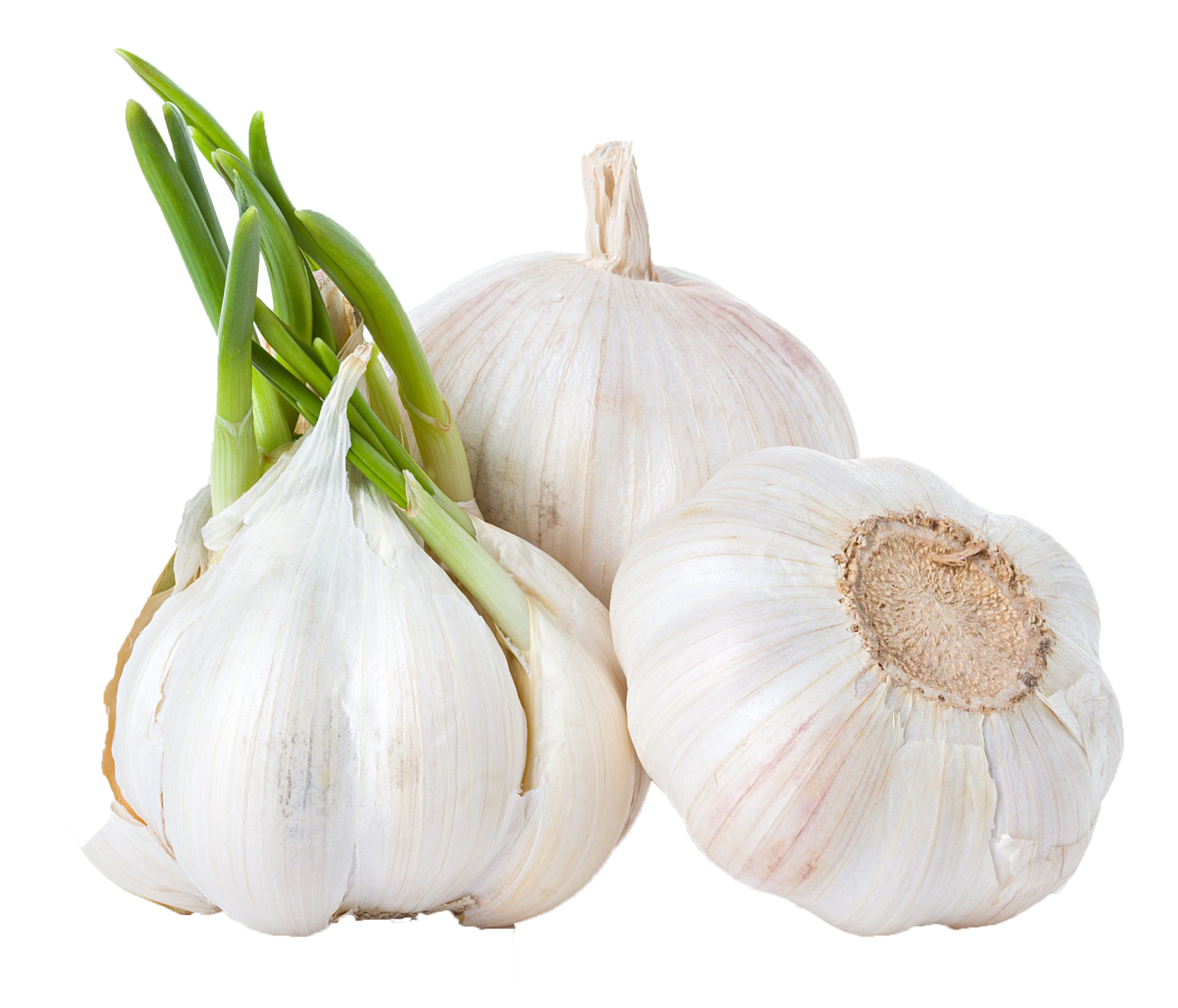 Garlic Png Background Clipart - Characteristics Of Fresh Garlic, Transparent Png PNG with transparent background