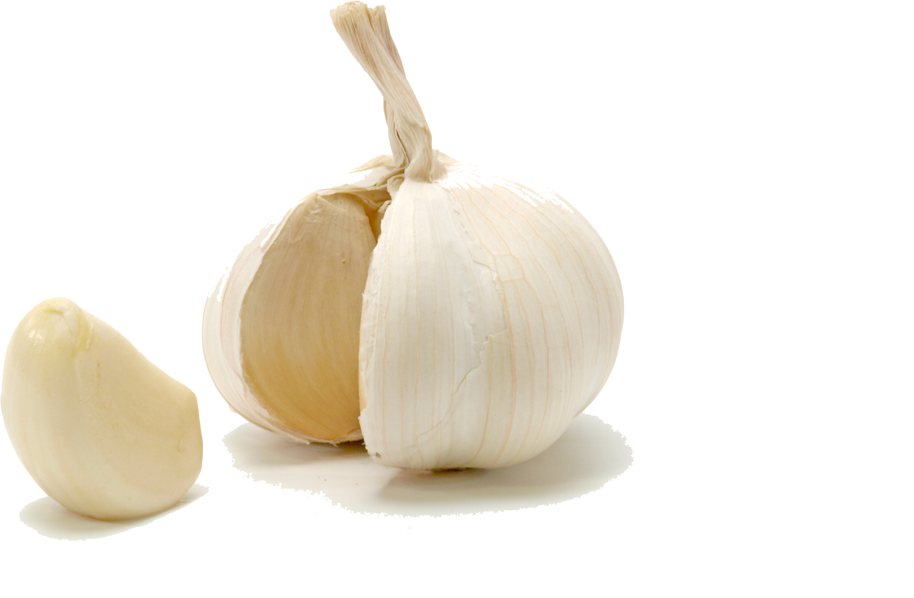 Fresh Garlic Cloveand Bulb