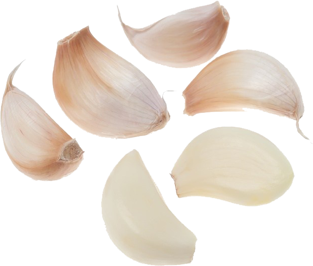 Fresh Garlic Cloves Isolated