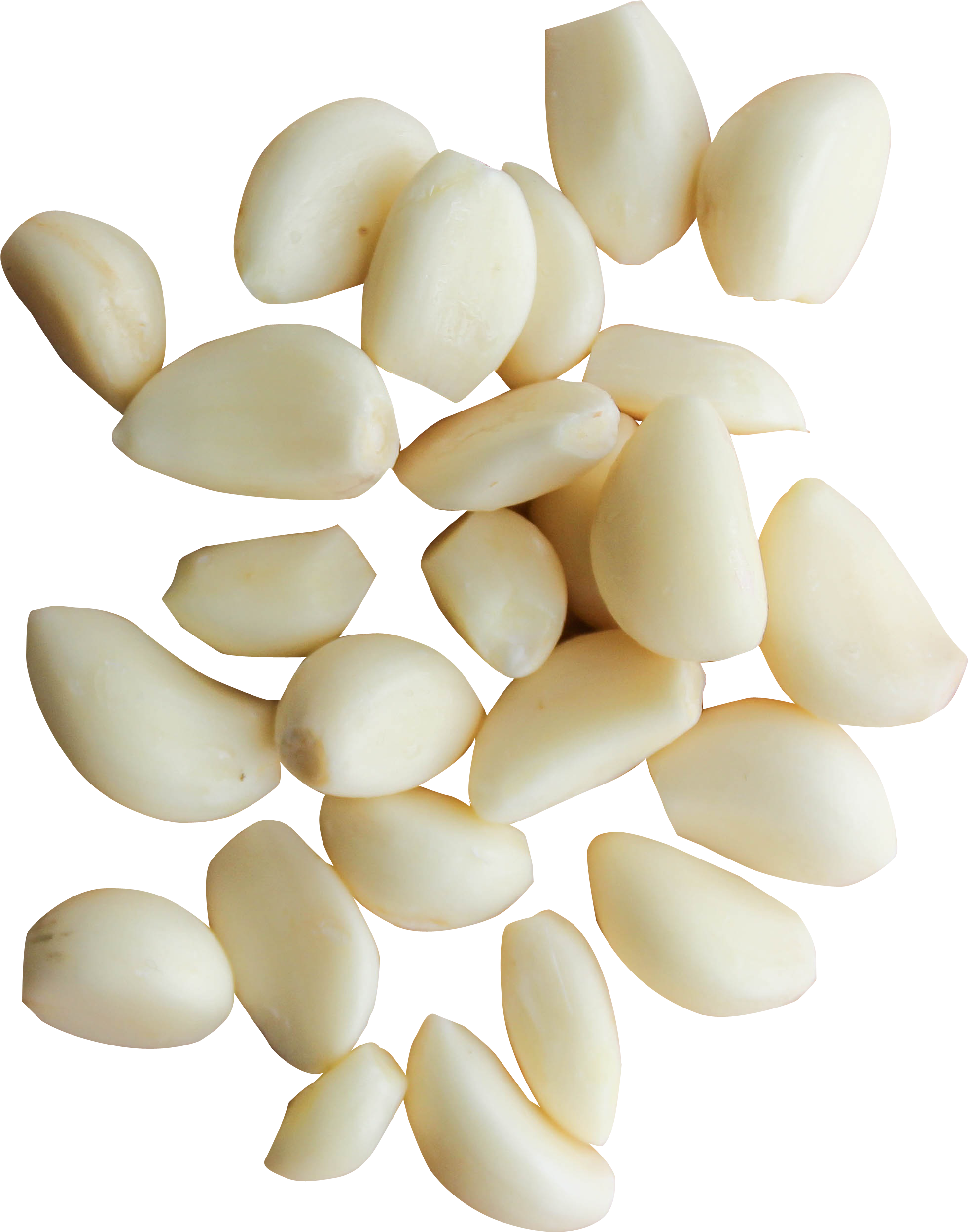 Fresh Garlic Cloves Isolated