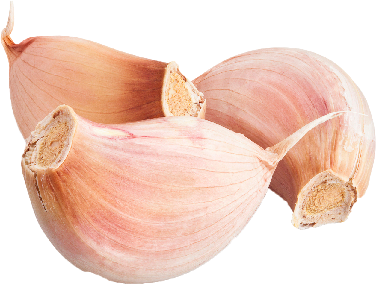 Fresh Garlic Cloves Transparent Background