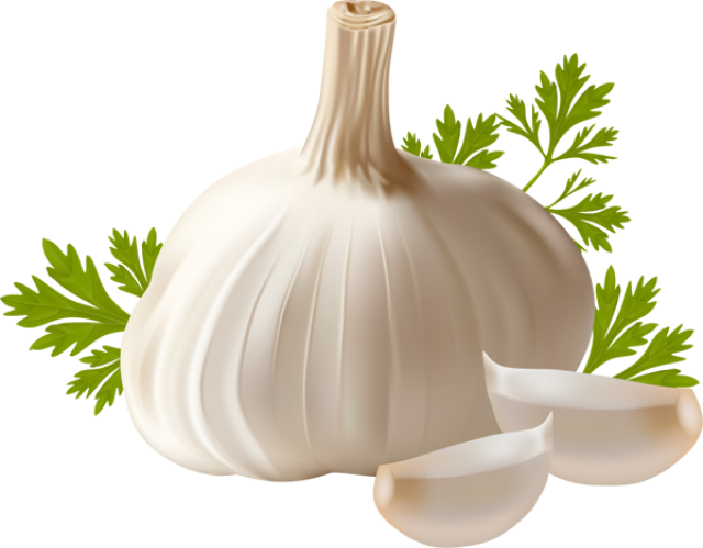 Fresh Garlicand Parsley.png