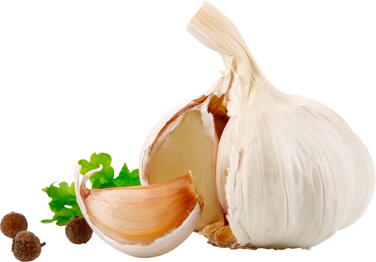 Garlic Png Image - High Resolution Garlic Png, Transparent Png PNG with transparent background