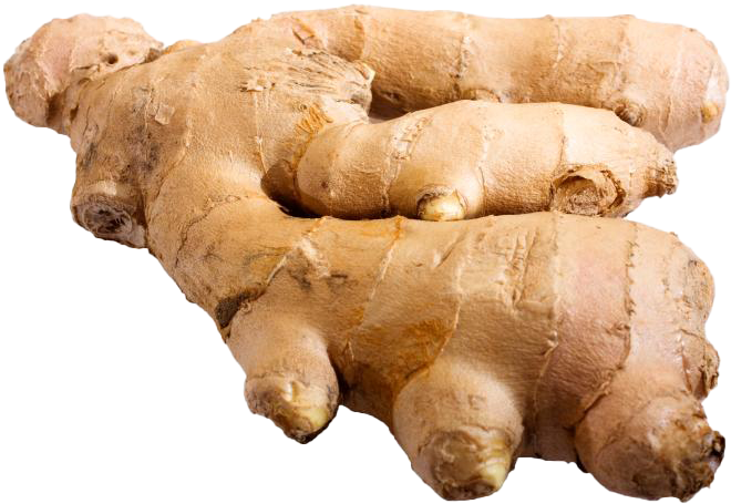 Fresh Ginger Root PNG with transparent background