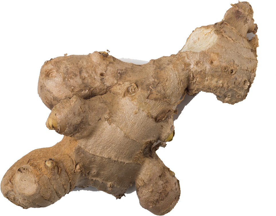 Fresh Ginger Root PNG with transparent background