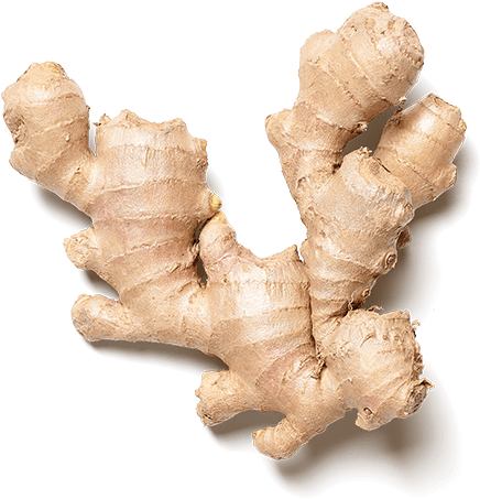 Fresh Ginger Root PNG with transparent background