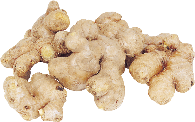 Fresh Ginger Root Cluster.png PNG with transparent background