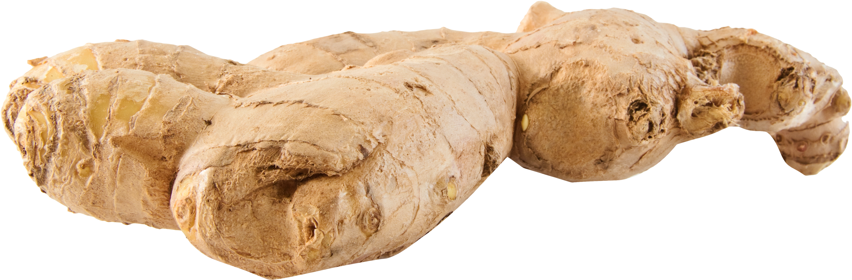 Fresh Ginger Root Isolated PNG with transparent background