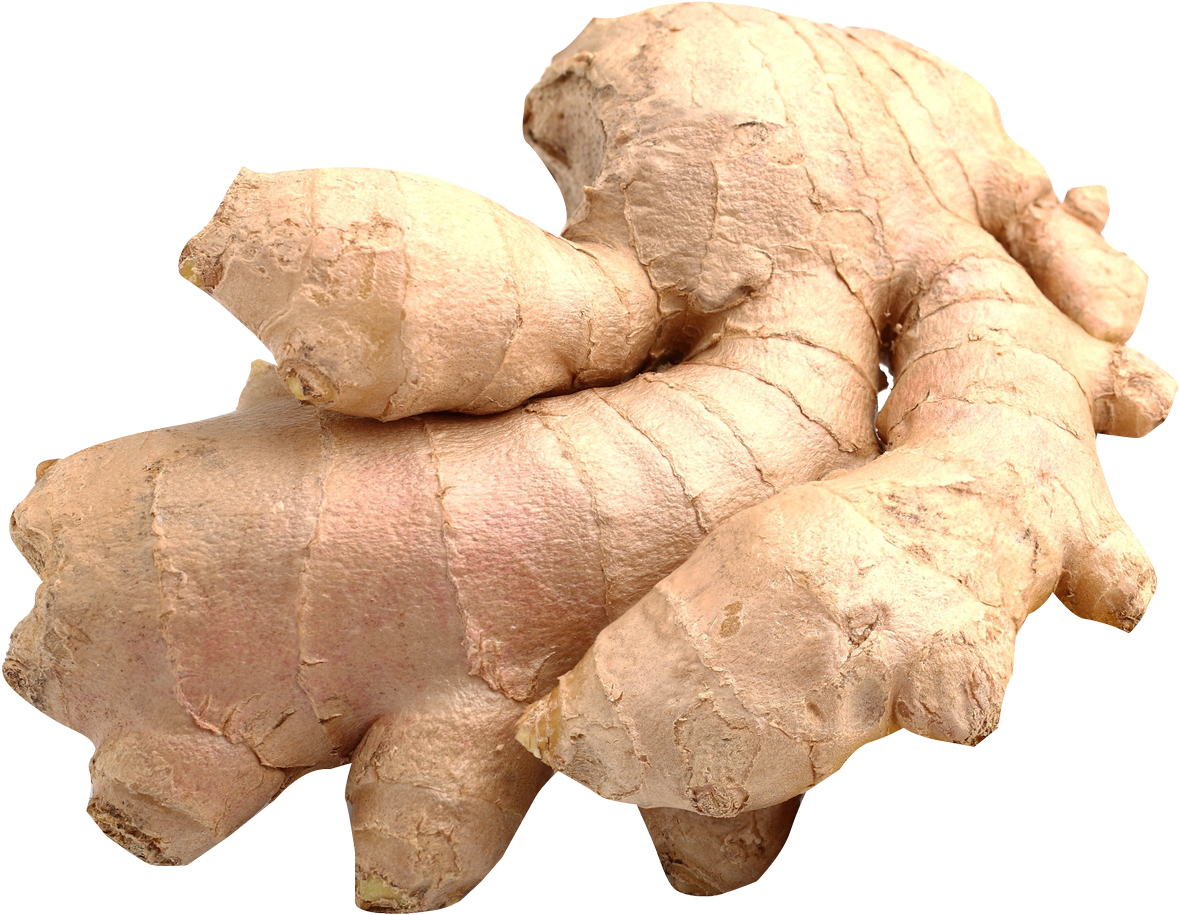 Fresh Ginger Root PNG with transparent background