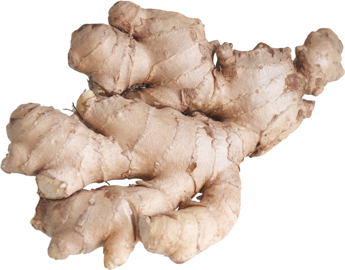 Fresh Ginger Root PNG with transparent background