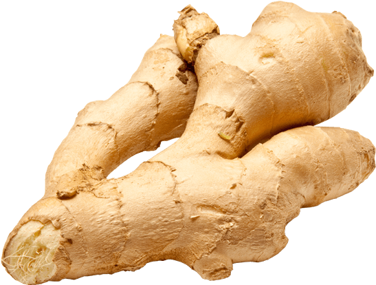 Fresh Ginger Roots PNG with transparent background