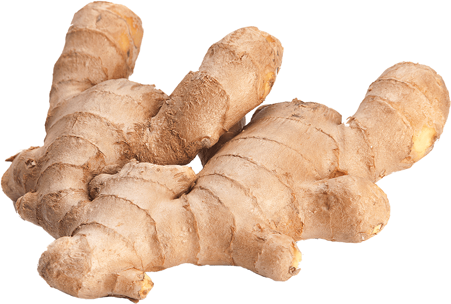 Fresh Ginger Roots PNG with transparent background