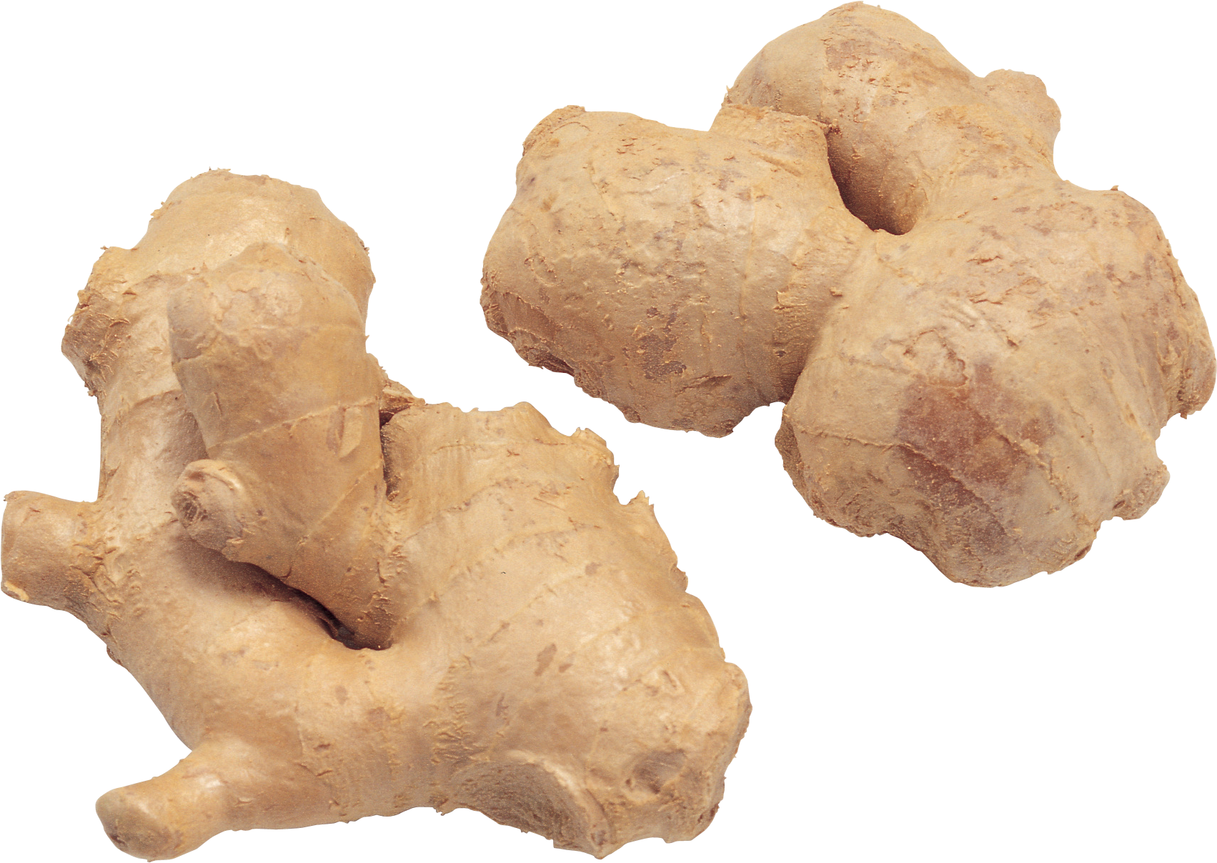 Fresh Ginger Roots PNG with transparent background