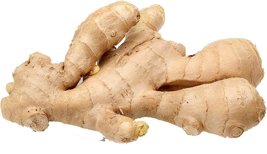 Fresh Ginger Roots PNG with transparent background