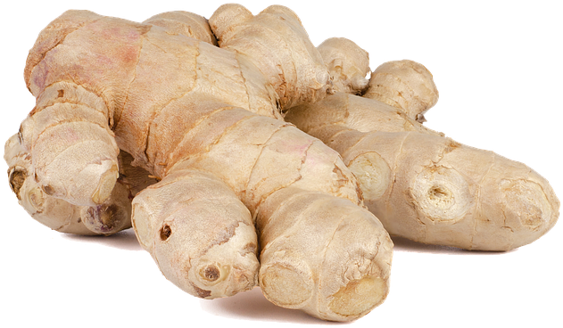 Fresh Ginger Roots PNG with transparent background