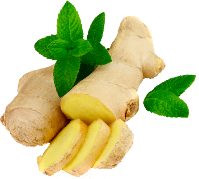 Fresh Ginger Rootwith Mint Leaves PNG with transparent background