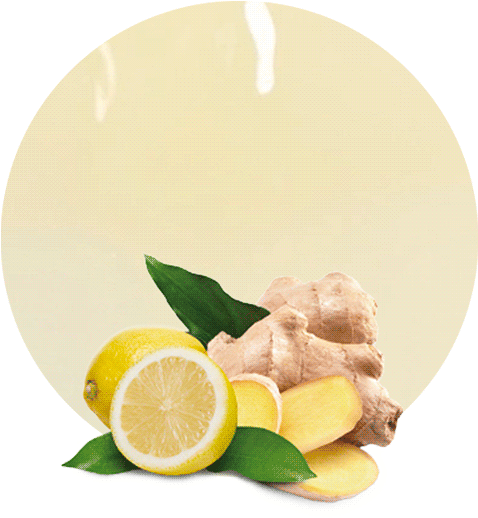 Fresh Gingerand Lemon Slices PNG with transparent background